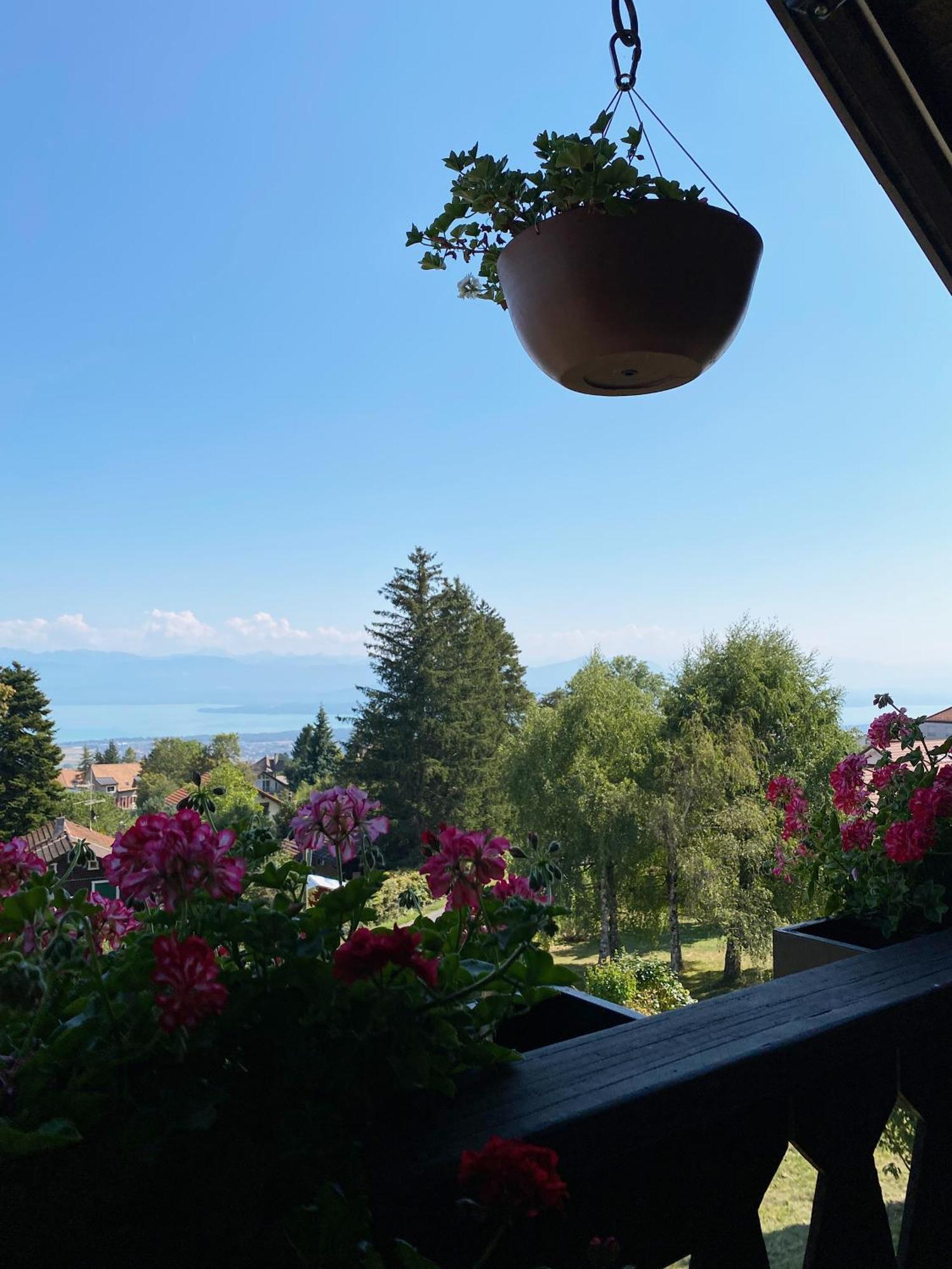 Bnb La Clemonie Bed & Breakfast Arzier Dış mekan fotoğraf